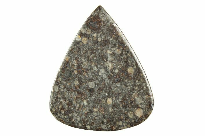 Stony Chondrite Cabochon ( g) - Meteorite #238213